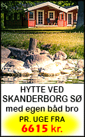 Danhostel Skanderborg
